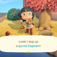 My characters digs up a gyroid fragment on a Kapp'n island tour.
